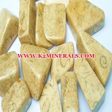 fossil stone tumbled-462