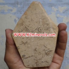 fossil stone tumbled-527