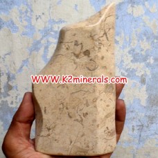 fossil stone tumbled-528