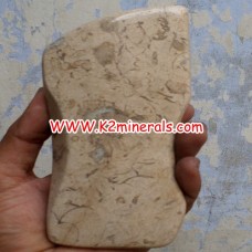 fossil stone tumbled-529